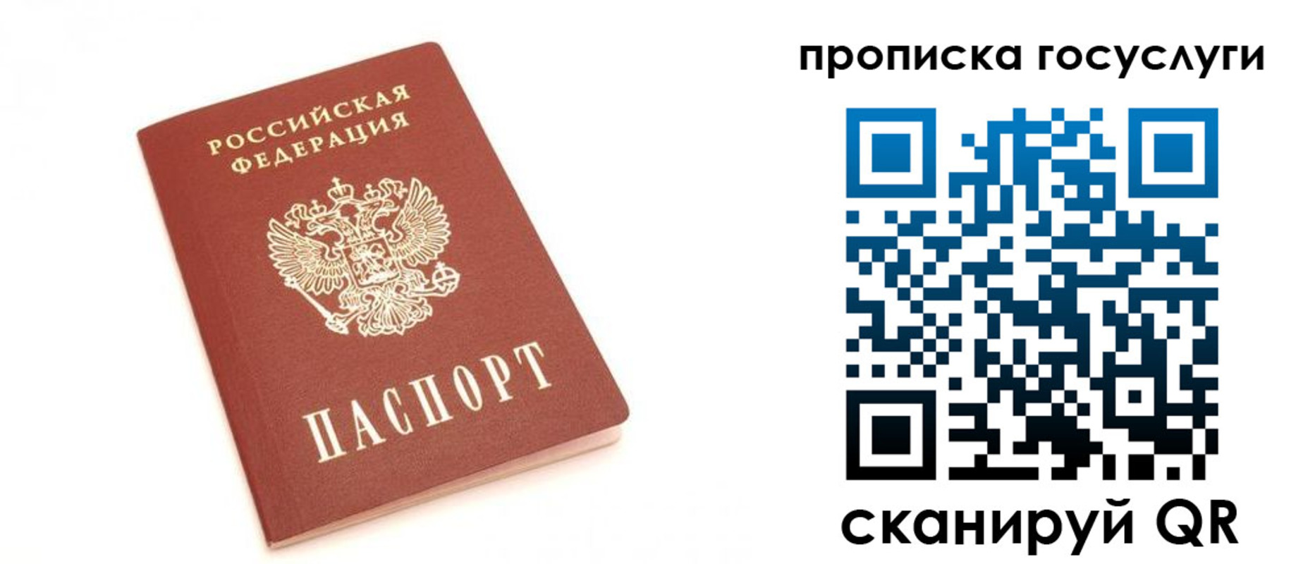 временная регистрация собственник в Мурино